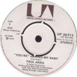 You’Re Having My Baby – Paul Anka